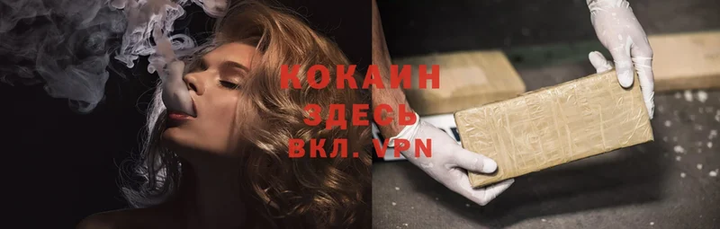 цена   Электроугли  Cocaine VHQ 